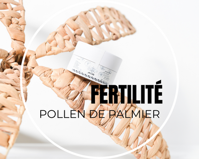 Le pollen de palmier, un trésor naturel pour la santé et la fertilité