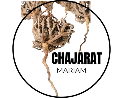 Les bienfaits de la Chajarat Mariam