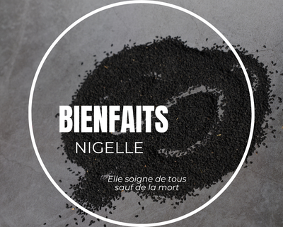 Les bienfaits miraculeux de la graine de Nigelle : un trésor méconnu pour une santé optimale !